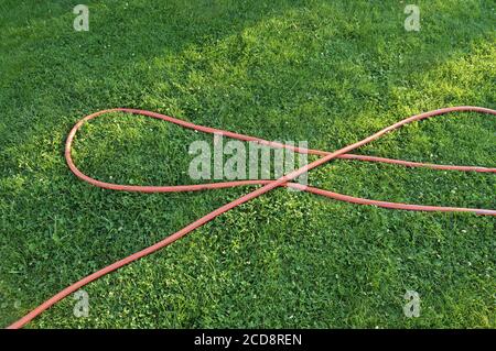 Top view of an orange rubber hose on the green grass of a mown lawn, lawn care and watering, minimalistic concept. Stock Photo
