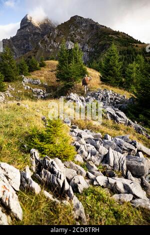 France, Haute Savoie, valley of Abondance, La Chapelle d'Abondance, hunting reserve of the Mont de Grange Stock Photo