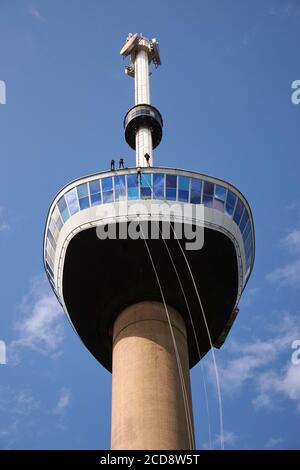 Netherlands, Southern Holland, Rotterdam, Abseiling from the top of the Euromast, observation tower of 185 meters high designed, by Hugh Maaskant Stock Photo