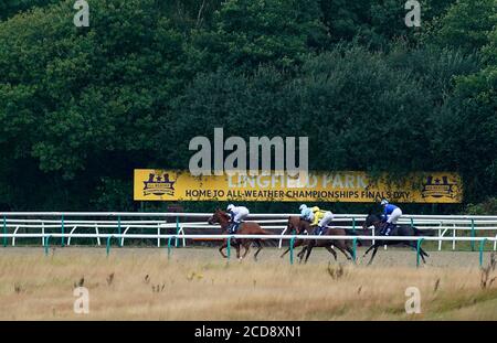 A general view of runners and riders in action as they compete in the Betway Nursery at Lingfield Park Racecourse. Stock Photo