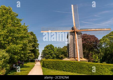 France, North (59), Cassel, French village favorite in 2018, Mount Cassel dominates the village with its old wooden mill and a pleasant public garden Stock Photo