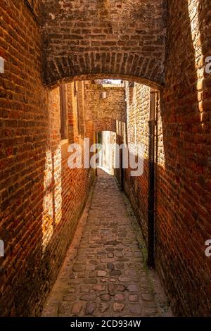 France, Nord (59), Cassel, favorite village of the French in 2018, Cassel dominates largely the plain of the Belgian and Belgian maritime Flanders and offers beautiful points of view on the surrounding countryside while following the path of the old ramparts Stock Photo