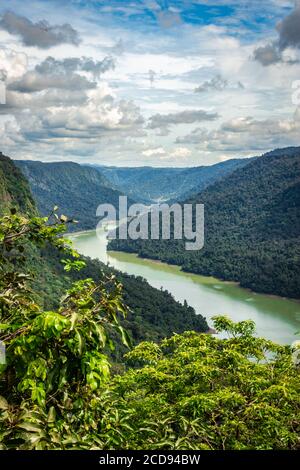 western ghat amazing dense greenery with leading river image is taken at karnataka india. it is fully covered with western ghat forests. Stock Photo