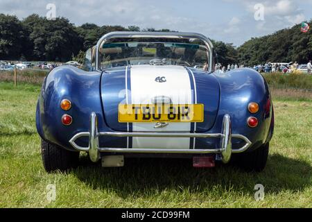 Rear view of an AC Cobra sports car being driven on an English road ...