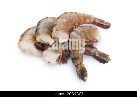 Studio shot of raw tiger prawns cut out against a white background - John Gollop