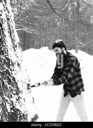 Handsome man or lumberjack, bearded hipster, with beard and moustache in red checkered shirt cuts tree with axe in snowy forest on winter day outdoors on natural background Stock Photo