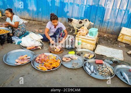 Myanmar (Burma), Yangon, the village of Dalah Stock Photo