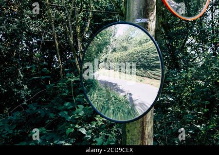 A convex mirror or traffic safety mirror attached to a telegraph pole in Surrey, England, UK, 2020 Stock Photo
