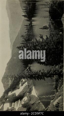 . The Beauties of the state of Washington : a book for tourists . Rainier National Park(Gr.) ...^ p- — aM 53 Mount Rainier and Lake Washington ^ J 56 Along the Columbia River (Gr.) 58 Salmon Fishing Industry (Gr.) Asahel Curtis JO Snake River Country Curtis & Miller 62 Rock Lake Curtis & Miller *b The Yakima Valley. Curtis & Miller £9 The Wenatchee Valley •• • ? 71 The Okanogan and Methow (Gr.) • ? ? • 73 Irrigation Scenes (Gr.) Frank Palmer Ji City of Spokane 7b Wheat Fields (Gr.) ••••••• 78 Walla Walla Scenes (Gr.) ••••••• 82 Along the Scenic Highways (Gr) - • • • —.- g5 Olympia, Our Capital Stock Photo