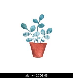 Plant in pot watercolor illustration on white background. Cozy house interior detail. Leafy plant in terracotta clay pot isolated. Handdrawn flower fo Stock Photo