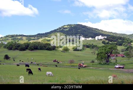 landscape of small ranch in central marin county california usa Stock Photo