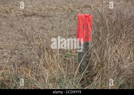 Wooden stake with red paint pegged on the ground at a field Stock Photo