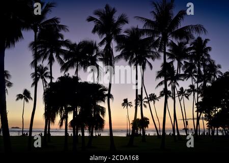 Spectacular and colorful sunset, silhouetted palm trees, on beach in resort neighborhood of Waikiki Beach, Oahu Island, Honolulu, Hawaii, USA Stock Photo