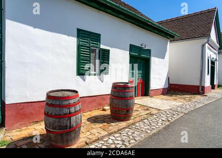 Famous hungarian gastro village Palkonya in Hungary street view with summer flowers Stock Photo