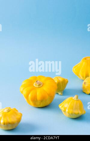 fresh Pattison on a blue background, summer food Stock Photo - Alamy