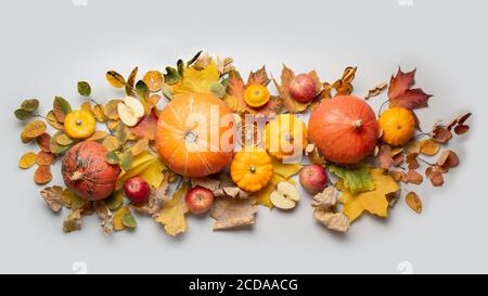 Fall decor for Thanksgiving Day with pumpkins, leaves, apples on grey. Stock Photo