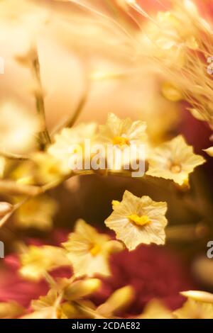Abstract color blur background. Modern smartphone screen. Stock Photo