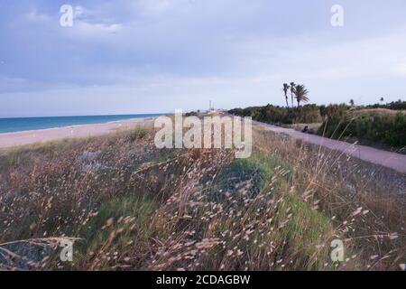 vista paisaje desde arriba de una duna de césped con el mar a un lado y el paseo al otro lado Stock Photo