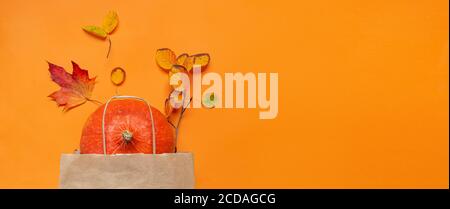 Autumn sale banner with colorful leaves, orange background, and ...