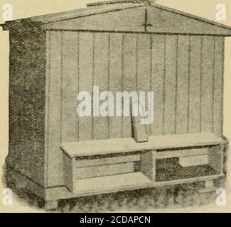 . Gleanings in bee culture . bles were overcome by using adouble hive first made in 1894 on my hang-ing-chamber principle; and this was ar-ranged with four entrances — two to eachstock—one back and front.* Henceforward if I wanted to unite, it wasonly a question of closing one of the two en-trances facing the same way, when, withoutknowing the difference, all the flying beeswould join the other lot with the wide-openentrance. Although at first the bees fly tothe site of their own entrance, they simplydraw along to the open side, passing behindthe central division of the porch. ALL MATURE WORKE Stock Photo