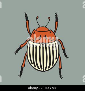 Potato beetle illustration. Vector design isolated element. Stock Vector