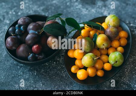 Multicolored plums on a plate are laid out by color. Stock Photo