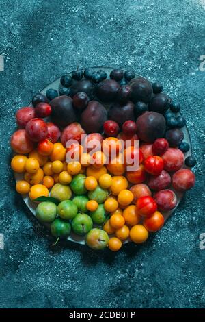 Multicolored plums on a plate are laid out by color. Stock Photo