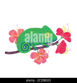 Chameleon on a branch with hibiscus flowers isolated on white background. Stock Vector
