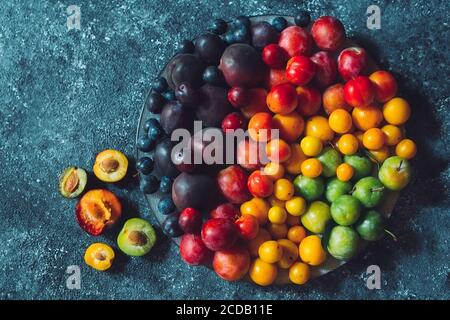 Multicolored plums on a plate are laid out by color. Stock Photo