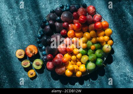 Multicolored plums on a plate are laid out by color. Stock Photo