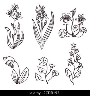 Big set of vintage original line art garden plants. Stock Vector