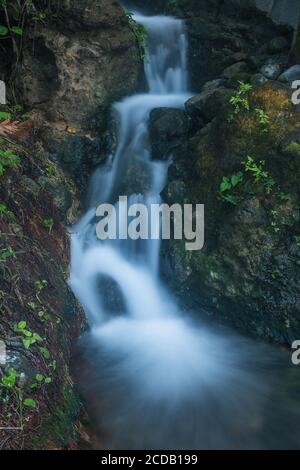 A small waterfall on a hot thermal stream in the Guadeloupe National Park on the island of Basse-Terre, Guadeloupe.  A UNESCO World Biosphere Reserve. Stock Photo