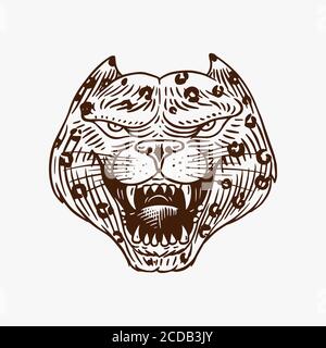 Screaming mad leopard or panther for tattoo or label. Roaring beast. Animal in retro style. Engraved hand drawn line art Vintage old monochrome sketch Stock Vector