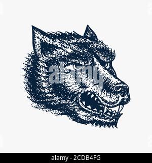Screaming mad wolf for tattoo or label. Roaring beast. Animal in retro style. Engraved hand drawn line art Vintage old monochrome sketch. Vector Stock Vector