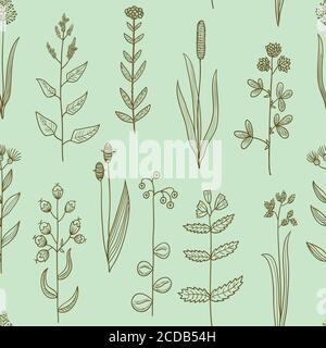 Seamless pattern with vintage original line art meadow plants. Stock Vector