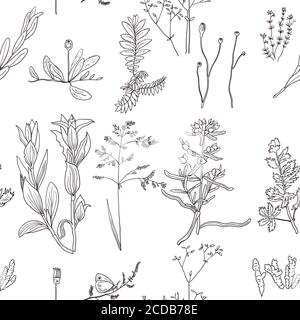 Seamless pattern with vintage original line art realistic forest plants. Stock Vector