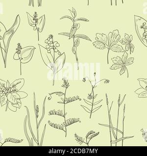 Seamless pattern with vintage original line art realistic forest plants. Stock Vector