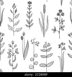 Seamless pattern with vintage original line art meadow plants. Stock Vector