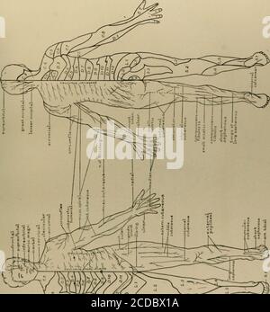 An atlas of the differential diagnosis of the diseases of the nervous ...