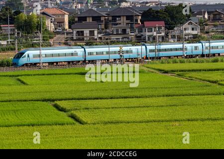 Odakyu Line passing through summer rice field in the morning, Isehara City, Kanagawa Prefecture, Japan. Stock Photo