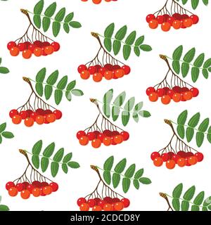 Regular seamless pattern with red Rowan berries Stock Vector