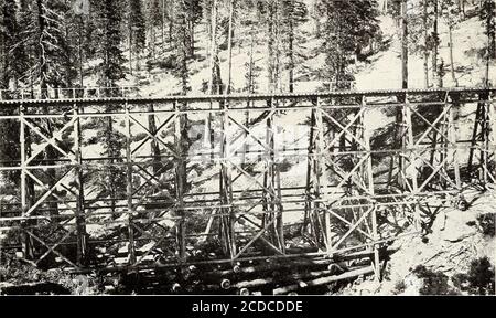 https://l450v.alamy.com/450v/2cdcdde/lumbering-in-the-sugar-and-yellow-pine-region-of-california-f-i5944-a-fig-1main-line-logging-railroad-and-dug-landing-on-typical-loggingoperation-in-the-sugar-and-yellow-pine-region-f-i5857-a-fig-2frame-trestle-on-logging-railroad-in-the-sugar-pine-region-bui-440-u-s-dept-of-agriculture-plate-xi-lt-1-wki-v-m-k-u-n-f-30927-fig-1loaded-logging-cars-ready-for-transportation-to-the-mill-pond-2cdcdde.jpg