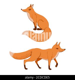 Cute sitting and standing red ginger fox Stock Vector