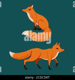 Cute sitting and standing red ginger fox Stock Vector