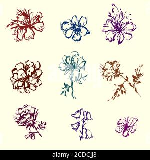 Set of hand painted flowers grunge stroke elements Stock Vector