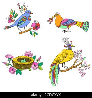 Amazing fairy fantasy birds and nest isolated on white background Stock Vector