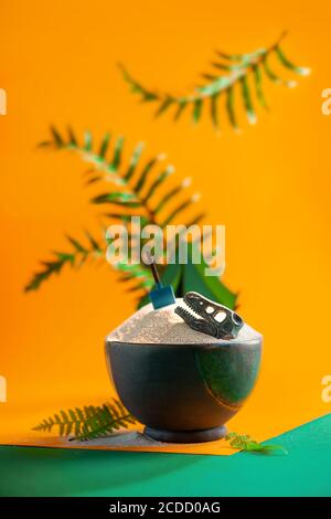 Excavation site with dinosaur skull and archeologist tent, papercraft in a still life with ferns Stock Photo