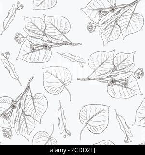 Seamless pattern with vintage linden flowers and branches. Stock Vector