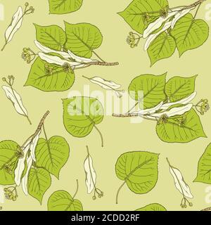 Seamless pattern with vintage linden flowers and branches. Stock Vector