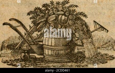 . Webster's calendar, or, The Albany, Columbia, Montgomery, and Washington almanack, for the year of our Lord ... . Tc s Fats, at Cotrells Hat Store, No. 46 State St.,Albany. ^r^r^r^r^r^r^r^r r^y^^r^rrr^r^r^r^r^r^r^. 1 » I No. 96. First Printed, 1784. WEBSTERS CALENDAR OR THE ALBANY ALMANAC FOR THE AH OF OUR LORD 1 8 V 9. Being the third after Bissextile or Leap year; and un-til July 4th the 103d of American Independence; alsothe 5639th since the Creation, according- to the .lev. b. IN -WHICH IS CONTAINED, Among other useful ami entertaining nutters, the remarkable ECLIPSES, LUNATIONS, CONJ Stock Photo